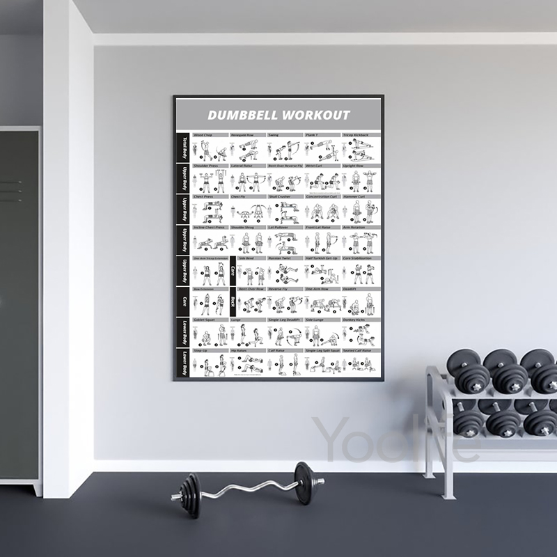 ملصقات مخطط تمارين رياضية، طبا - مراجعة Sports Equipment Poster وسعره